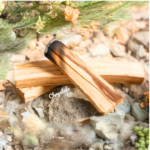 Bâton de Palo Santo