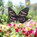 Ombre d'Améthyste - Grand papillon - Violet Noir