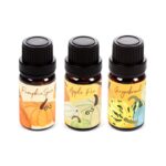 Coffret d'huiles -Citrouille Épicée – Tarte aux Pommes – Pain d’Épices – Image 3