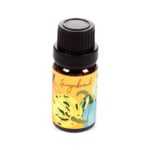 Coffret d'huiles -Citrouille Épicée – Tarte aux Pommes – Pain d’Épices – Image 4